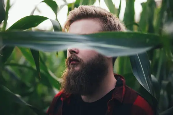 guy with hipster beard covered  the eyes with leaves 